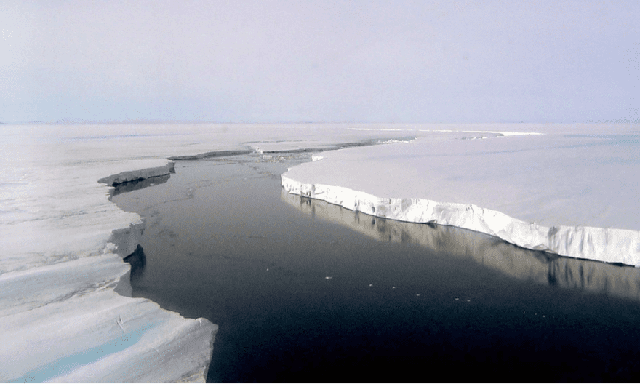 Phát hiện cả một thế giới ngầm dưới lớp băng dày của Nam Cực khiến các nhà khoa học nhảy cẫng lên vì mừng rỡ - Ảnh 1.