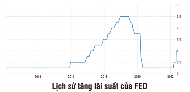 Ngân hàng trung ương châu Âu họp khẩn; Nhà đầu tư lo ngại FED tăng 1% lãi suất - Ảnh 2.