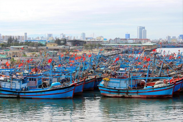 Nông nghiệp giải ngân đầu tư công rùa bò - Ảnh 1.