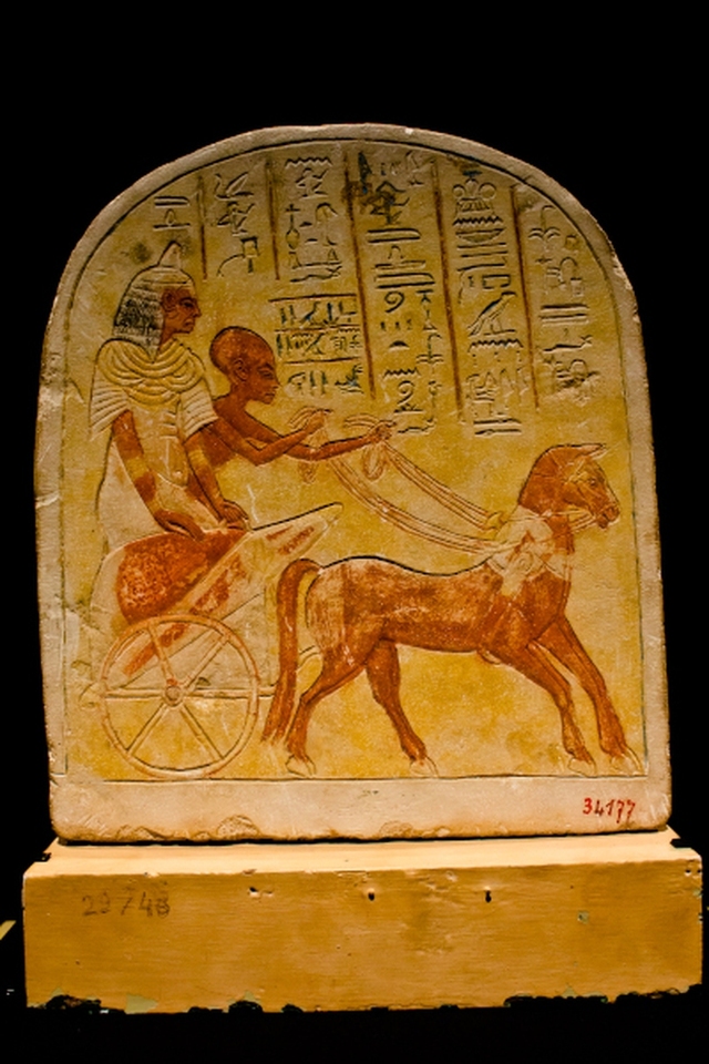 Chân dung Nữ hoàng Nefertiti quyền năng của Ai Cập cổ đại, được mệnh danh “đẹp nhất lịch sử”, khiến thần Mặt Trời cũng phải ngây ngất  - Ảnh 5.