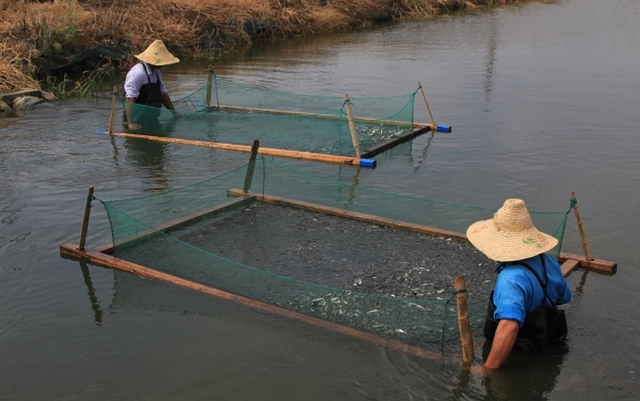 Chưa từng được ăn no mặc ấm, vị tỷ phú 75 tuổi một tay làm giàu cho cả làng, xây dựng đế chế công nghiệp với gia tài hơn 5 tỷ đô: Quan trọng là dám nghĩ to, làm lớn! - Ảnh 2.