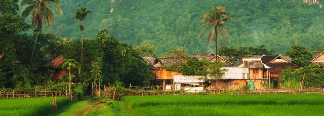 Mai Châu đang là thiên đường lúa chín đầu hạ đẹp nhất nhì vùng Tây Bắc, thu hút rất nhiều bạn trẻ đến chụp ảnh - Ảnh 6.