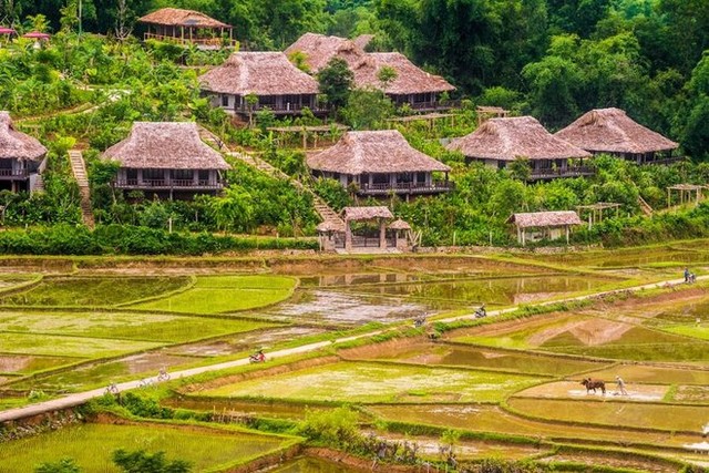 Mai Châu đang là thiên đường lúa chín đầu hạ đẹp nhất nhì vùng Tây Bắc, thu hút rất nhiều bạn trẻ đến chụp ảnh - Ảnh 10.