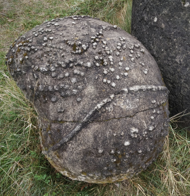 Bí ẩn những tảng đá ví như sinh vật sống khiến khoa học bối rối: Mọc lên như nấm mỗi lần có mưa, lại còn biết đi - Ảnh 5.