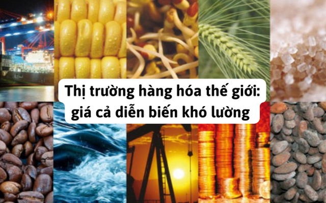 Thị trường hàng hóa thế giới chứng kiến giá tăng cao kỷ lục trong thời gian qua