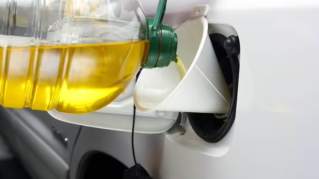 Dầu ăn có thể dùng làm nhiên liệu cho ô tô được không - chi phí thế nào? - Ảnh 2.