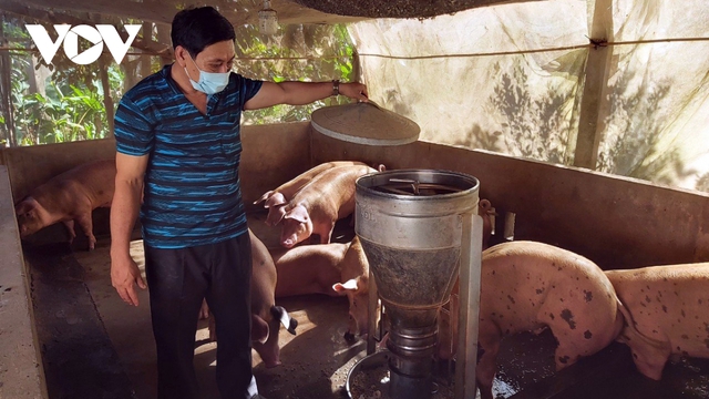 Chi phí tăng cao, người chăn nuôi ở Tiền Giang điêu đứng - Ảnh 2.