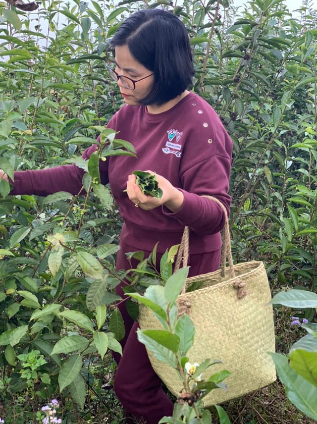 Xu hướng nghỉ dưỡng cuối tuần đã không còn nhàm chán như xưa: Từ ở farmstay cho đến đi resort hưởng nhạc - Ảnh 4.