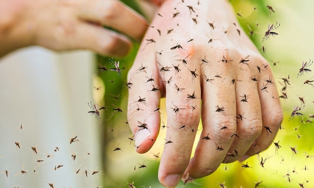 Bác sĩ lật tẩy 5 hiểu lầm phổ biến về muỗi đốt và cảnh báo 4 nhóm người dễ bị muỗi tấn công nhất vào mùa hè - Ảnh 3.