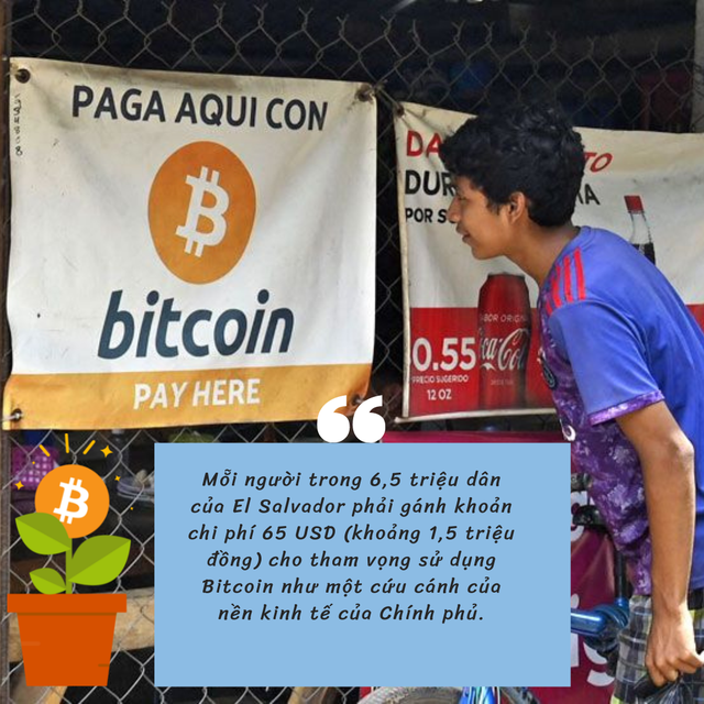 Tổng thống mang gần nửa tỷ USD quốc khố đặt vào canh bạc Bitcoin, mỗi người dân El Salvador phải gánh bao nhiêu tiền? - Ảnh 1.