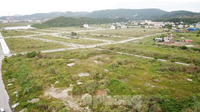Khu đô thị gần 100ha đất vàng ở Quảng Ninh bỏ hoang, cỏ mọc um tùm - Ảnh 2.