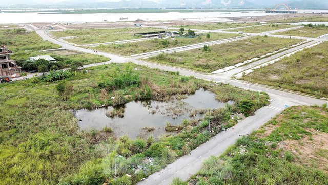 Khu đô thị gần 100ha đất vàng ở Quảng Ninh bỏ hoang, cỏ mọc um tùm - Ảnh 12.