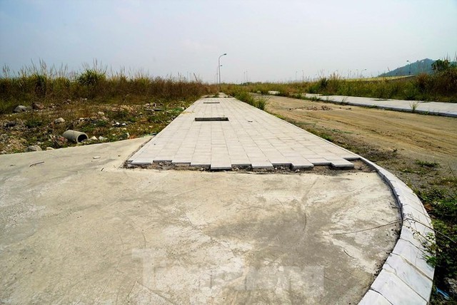 Khu đô thị gần 100ha đất vàng ở Quảng Ninh bỏ hoang, cỏ mọc um tùm - Ảnh 15.