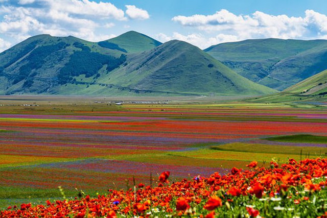 Kỳ diệu ngôi làng cổ nằm lơ lửng ở độ cao 1452 mét, cứ đến mùa hè là biến thành thảm hoa đầy màu sắc giữa châu Âu  - Ảnh 4.