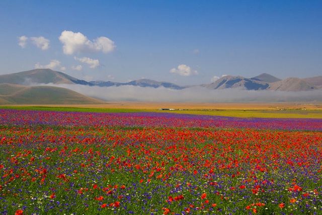 Kỳ diệu ngôi làng cổ nằm lơ lửng ở độ cao 1452 mét, cứ đến mùa hè là biến thành thảm hoa đầy màu sắc giữa châu Âu  - Ảnh 5.