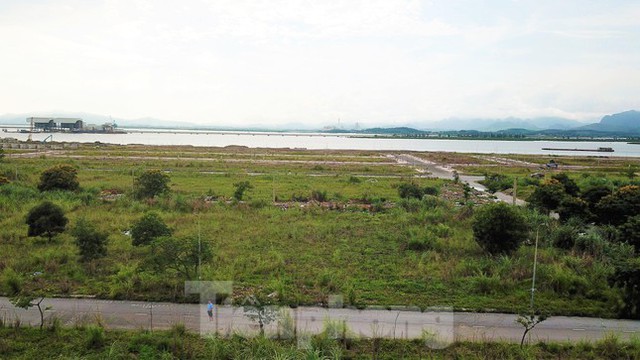 Khu đô thị gần 100ha đất vàng ở Quảng Ninh bỏ hoang, cỏ mọc um tùm - Ảnh 8.