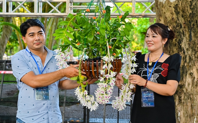 Dân chơi lan rủ nhau về Hà Nội, khoe khéo cây tiền tỷ trong ngày hội lớn nhất cả nước