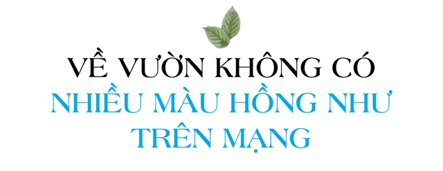 Anh nông dân 9X Kiều Văn Dũng và mối nhân duyên từ phố về quê trồng cây: “Kênh TikTok có triệu tim nhưng không hái ra tiền” - Ảnh 5.