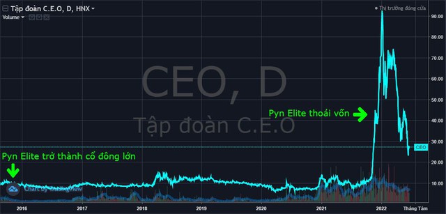 Những khoản đầu tư làm nên tên tuổi của Pyn Elite Fund: Lãi hàng nghìn tỷ với CEO và MWG, ngậm ngùi cắt lỗ HUT - Ảnh 1.