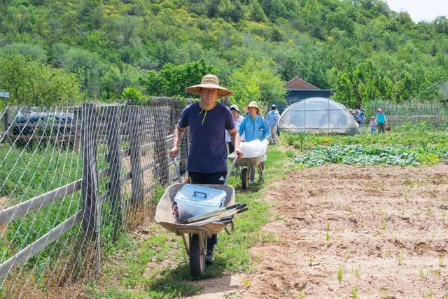 Đôi vợ chồng thạc sĩ bỏ lên núi sống như Robinson suốt 7 năm, biến vùng đất khô cằn thành trang trại màu mỡ: Tự cung tự cấp mọi thứ nhưng thư thái đến lạ - Ảnh 13.