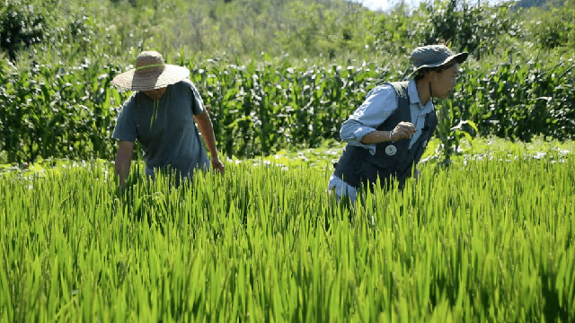 Đôi vợ chồng thạc sĩ bỏ lên núi sống như Robinson suốt 7 năm, biến vùng đất khô cằn thành trang trại màu mỡ: Tự cung tự cấp mọi thứ nhưng thư thái đến lạ - Ảnh 14.