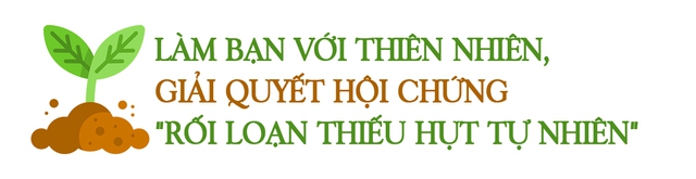 Đôi vợ chồng thạc sĩ bỏ lên núi sống như Robinson suốt 7 năm, biến vùng đất khô cằn thành trang trại màu mỡ: Tự cung tự cấp mọi thứ nhưng thư thái đến lạ - Ảnh 12.