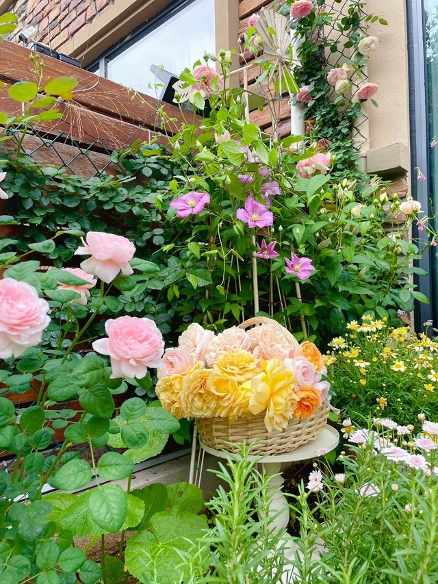 Cô gái 9x mừng tuổi 31 với căn nhà mới có cả sân vườn và sau 300 ngày, khu vườn đã nở rộ đầy hoa - Ảnh 5.