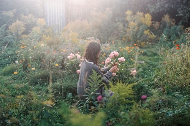 Khu vườn bình yên bên hoa lá rộng 25.000m² và ngôi nhà bình dị của cô gái độc thân ở vùng nông thôn - Ảnh 1.