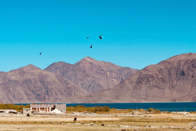 Yamdrok - hồ nổi tiếng nhất Tây Tạng có trữ lượng cá cả triệu tấn nhưng không ai dám ăn, lý do khiến nhiều người bất ngờ - Ảnh 11.