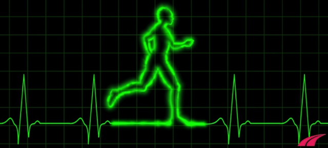 1 tiếng chạy bộ mỗi ngày ảnh hưởng thế nào tới xương khớp? Muốn chạy bộ hiệu quả, sức khỏe thăng hạng nhất định phải lưu ý 3 điều - Ảnh 4.