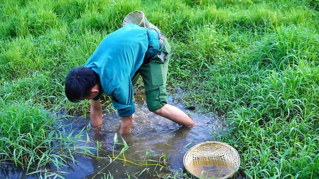 Bỏ việc lương 10 triệu, chàng trai về quê trồng rau, nuôi gà: Bình yên nhưng không dễ dàng  - Ảnh 11.