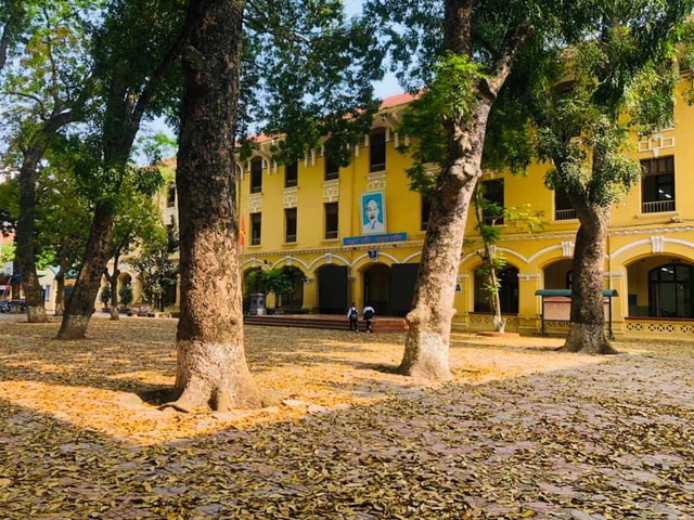 Ngoài THPT Chu Văn An và Yên Hòa, đây là ngôi trường cấp 3 ở Hà Nội có điểm chuẩn cao ngất ngưởng năm nay: Xem profile mới thấy xứng tầm - Ảnh 3.