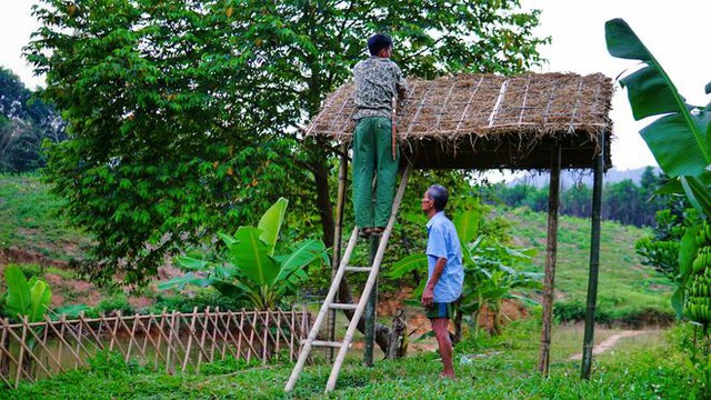 Bỏ việc lương 10 triệu, chàng trai về quê trồng rau, nuôi gà: Bình yên nhưng không dễ dàng  - Ảnh 3.