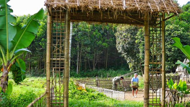 Bỏ việc lương 10 triệu, chàng trai về quê trồng rau, nuôi gà: Bình yên nhưng không dễ dàng  - Ảnh 4.