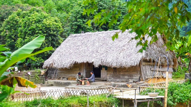 Bỏ việc lương 10 triệu, chàng trai về quê trồng rau, nuôi gà: Bình yên nhưng không dễ dàng  - Ảnh 8.