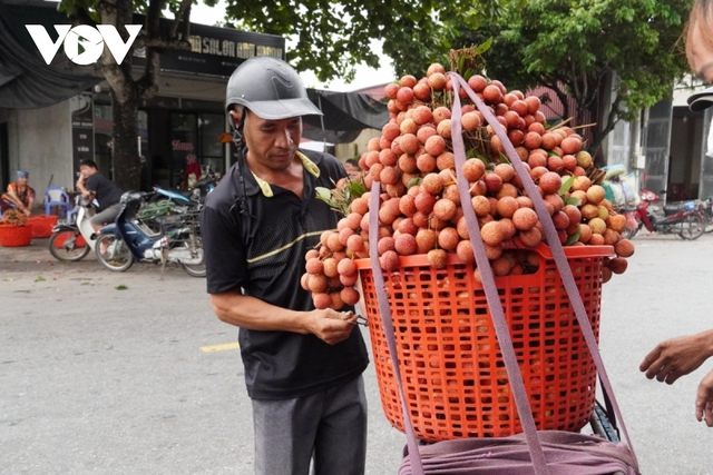 Nông dân Hải Dương với chuyển đổi số - Ảnh 1.