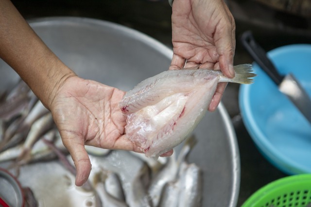 Về miền Tây xem cách người dân làm món cá khô - đặc sản “chữa cháy” bữa cơm mà trong tủ lạnh quanh năm lúc nào cũng phải “trữ” - Ảnh 14.