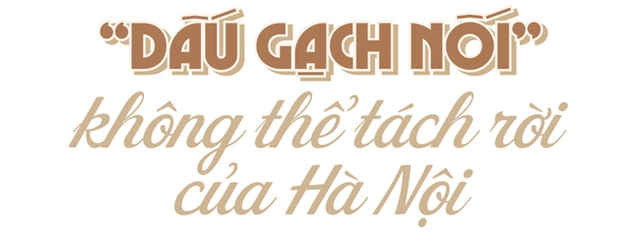 Cầu Long Biên: Kiệt tác nghệ thuật kiến trúc - chứng nhân lịch sử của dân tộc đã đến lúc cần được nghỉ ngơi - Ảnh 18.