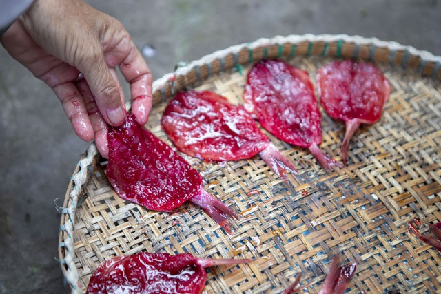 Về miền Tây xem cách người dân làm món cá khô - đặc sản “chữa cháy” bữa cơm mà trong tủ lạnh quanh năm lúc nào cũng phải “trữ” - Ảnh 23.