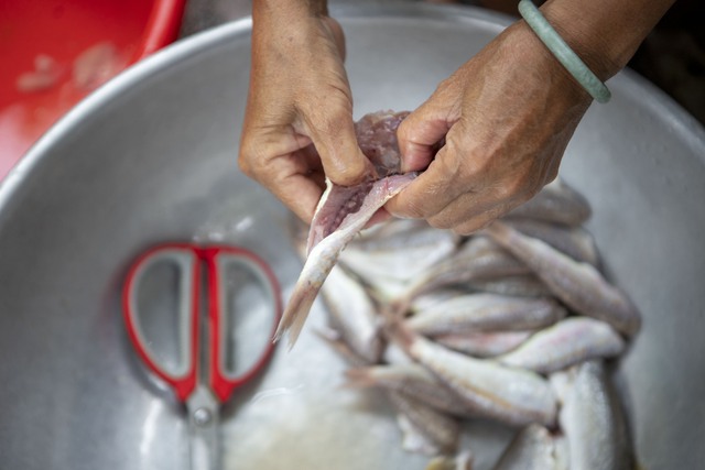 Về miền Tây xem cách người dân làm món cá khô - đặc sản “chữa cháy” bữa cơm mà trong tủ lạnh quanh năm lúc nào cũng phải “trữ” - Ảnh 8.