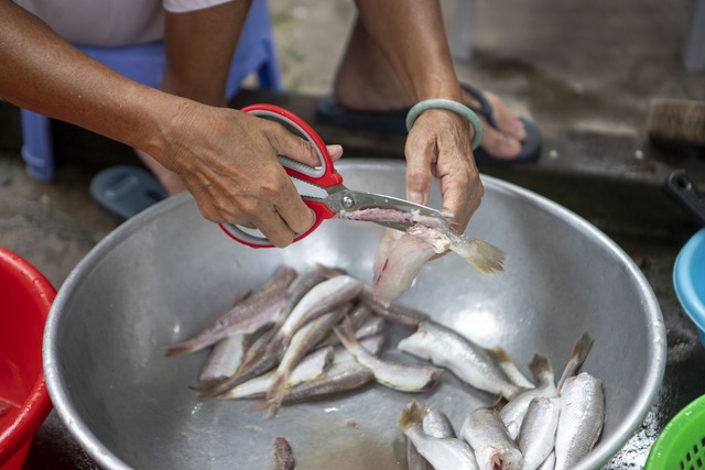 Về miền Tây xem cách người dân làm món cá khô - đặc sản “chữa cháy” bữa cơm mà trong tủ lạnh quanh năm lúc nào cũng phải “trữ” - Ảnh 10.