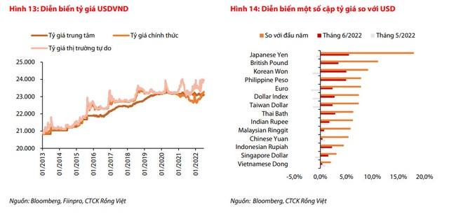 VDSC: Ngân hàng Nhà nước đã bán ra khoảng 12-13 tỷ USD để ổn định tỷ giá - Ảnh 1.