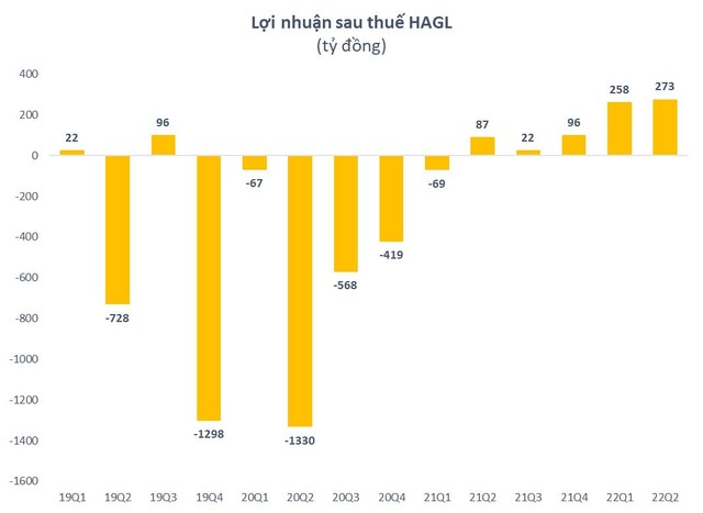 Hoàng Anh Gia Lai (HAGL) lãi 531 tỷ đồng trong 6 tháng đầu năm, dự kiến sản lượng heo xuất bán tăng gấp đôi trong nửa cuối năm - Ảnh 1.