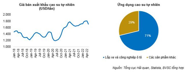 Cao su Phước Hòa (PHR): Dự án VSIP 3 có thể mang về 3.400 tỷ đồng, có kế hoạch phát triển các dự án KCN – Khu đô thị với quy mô gần 3.000 ha - Ảnh 2.