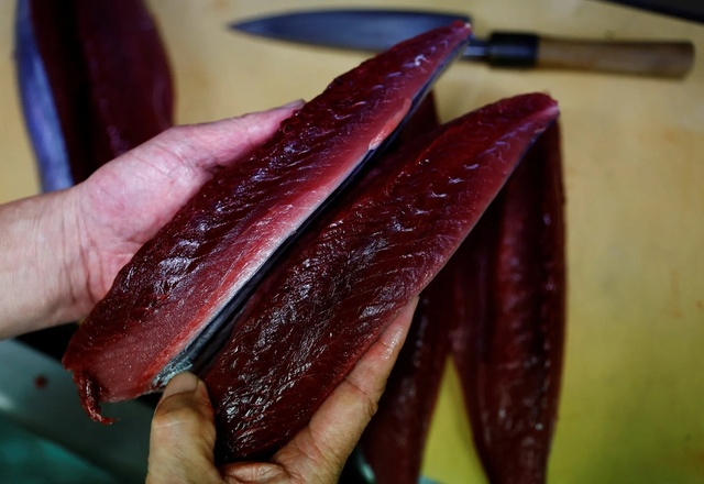 Bí mật về phương pháp câu truyền thống giúp người Nhật giữ tuyệt đối vị ngon của cá ngừ - Ảnh 6.