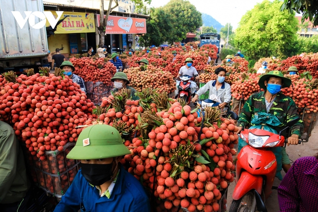 Bắc Giang tháo gỡ khó khăn, thúc đẩy tiêu thụ vải thiều - Ảnh 3.