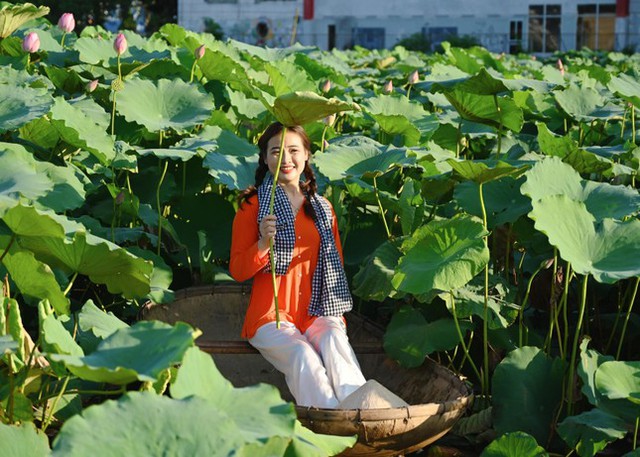  Sen Hồ Tây vào mùa, dịch vụ thuê váy áo, trang điểm chụp ảnh hút giới trẻ  - Ảnh 4.