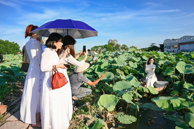  Sen Hồ Tây vào mùa, dịch vụ thuê váy áo, trang điểm chụp ảnh hút giới trẻ  - Ảnh 10.