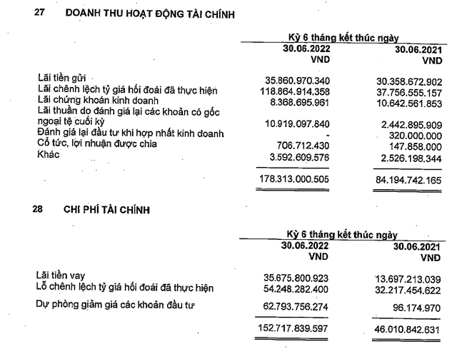 Vĩnh Hoàn: Lỗ hơn 30% khi đầu tư cổ phiếu bất động sản như Đất Xanh, Nam Long, Kinh Bắc, quý II lãi sau thuế 788 tỷ đồng gấp 3 cùng kỳ năm trước - Ảnh 2.