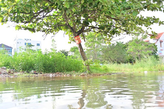  Hàng trăm biệt thự triệu đô ngập trong nước ở Quảng Ninh  - Ảnh 13.